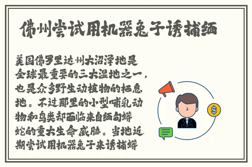 可不可以干湿你骨科